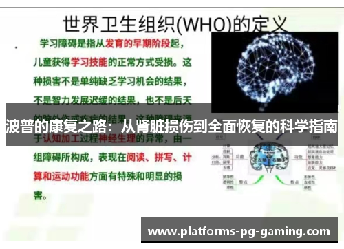 波普的康复之路：从肾脏损伤到全面恢复的科学指南