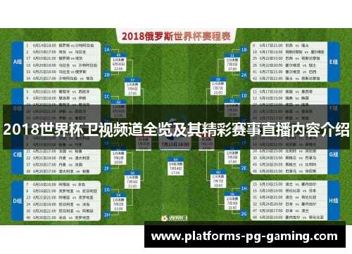2018世界杯卫视频道全览及其精彩赛事直播内容介绍