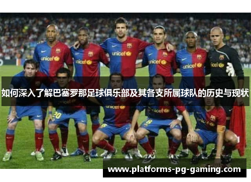 如何深入了解巴塞罗那足球俱乐部及其各支所属球队的历史与现状