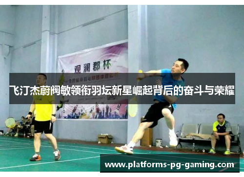 飞汀杰蔚阀敏领衔羽坛新星崛起背后的奋斗与荣耀
