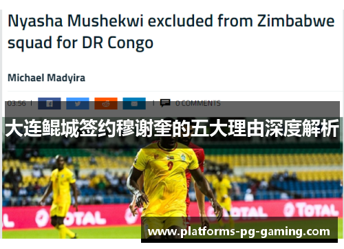 大连鲲城签约穆谢奎的五大理由深度解析