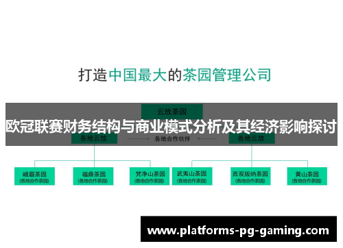 欧冠联赛财务结构与商业模式分析及其经济影响探讨