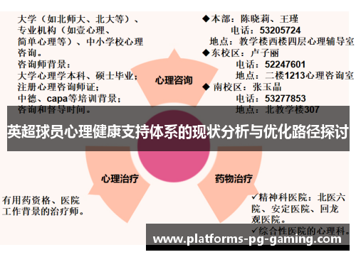 英超球员心理健康支持体系的现状分析与优化路径探讨
