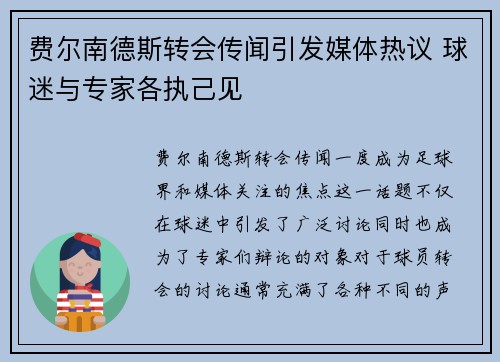 费尔南德斯转会传闻引发媒体热议 球迷与专家各执己见
