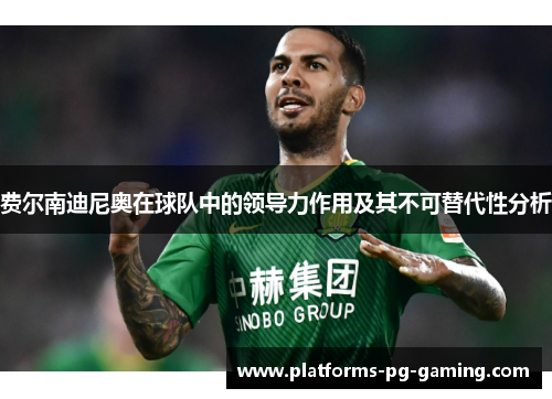 费尔南迪尼奥在球队中的领导力作用及其不可替代性分析