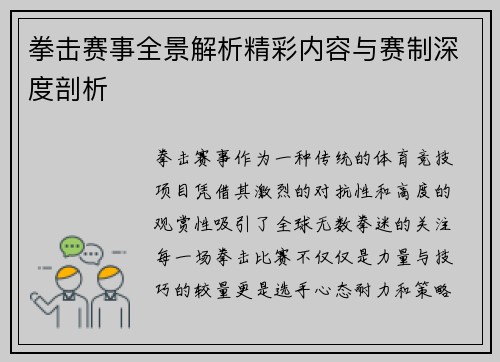 拳击赛事全景解析精彩内容与赛制深度剖析